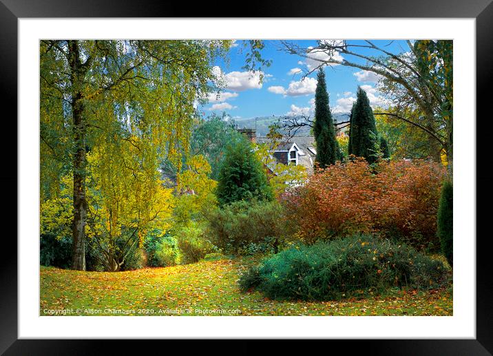 Sheffield Botanical Gardens Autumn Framed Mounted Print by Alison Chambers