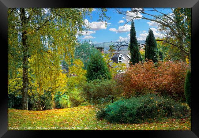 Sheffield Botanical Gardens Autumn Framed Print by Alison Chambers