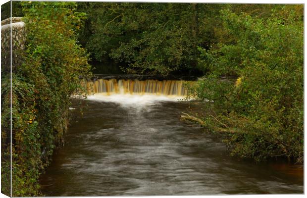 GOATHLAND WATERFALL Canvas Print by andrew saxton