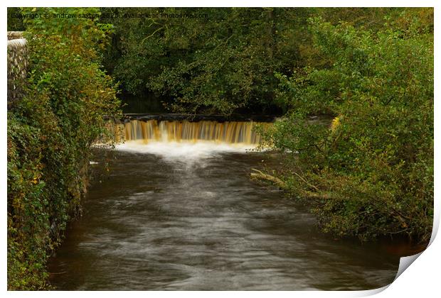 GOATHLAND WATERFALL Print by andrew saxton