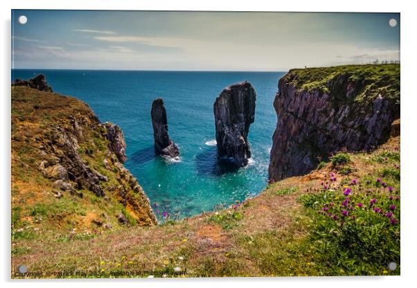 Elegug Stacks, Castlemartin Acrylic by Paddy Art