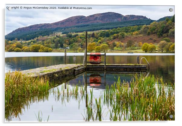 Landing stage on Lake of Menteith Acrylic by Angus McComiskey