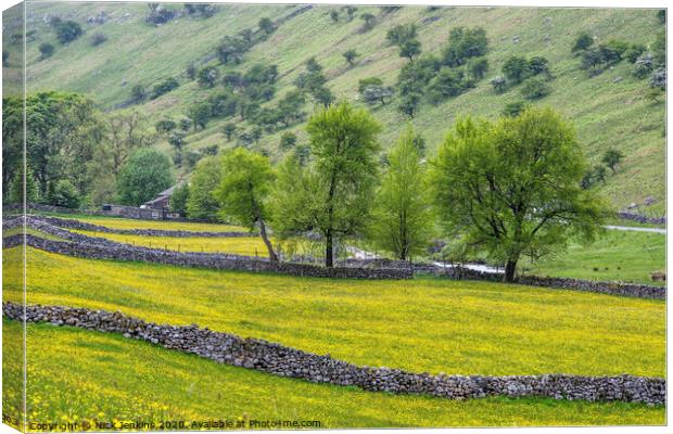 Langstrothdale meadows in the Yorkshire Dales  Canvas Print by Nick Jenkins