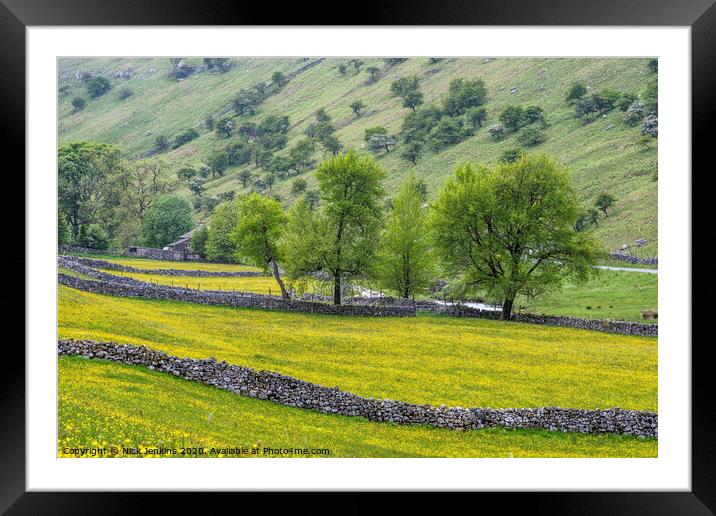 Langstrothdale meadows in the Yorkshire Dales  Framed Mounted Print by Nick Jenkins