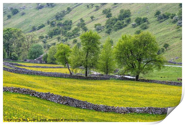 Langstrothdale meadows in the Yorkshire Dales  Print by Nick Jenkins