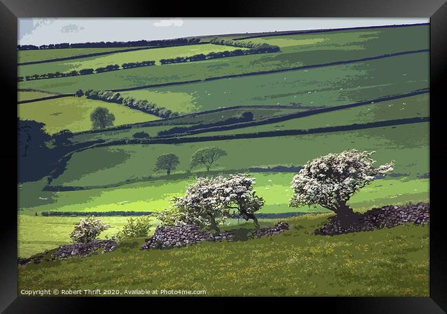 Blackthorn near the Hoad, Ulverston Framed Print by Robert Thrift