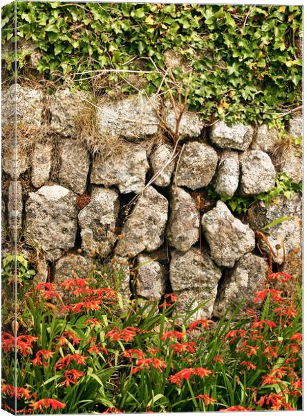 Dry stone wall at Lands End in Cornwall, UK. Canvas Print by Peter Bolton