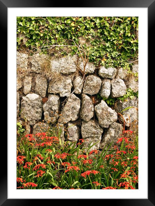 Dry stone wall at Lands End in Cornwall, UK. Framed Mounted Print by Peter Bolton