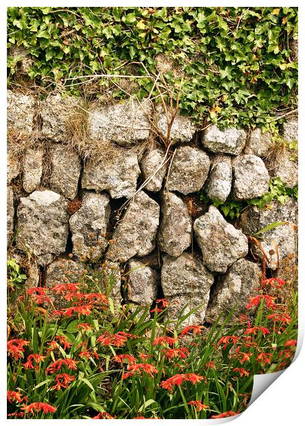 Dry stone wall at Lands End in Cornwall, UK. Print by Peter Bolton