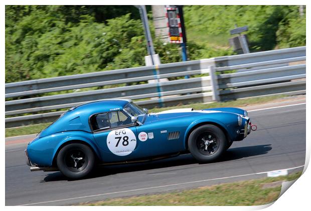 Shelby Cobra 289 Sports Car  Print by Andy Evans Photos