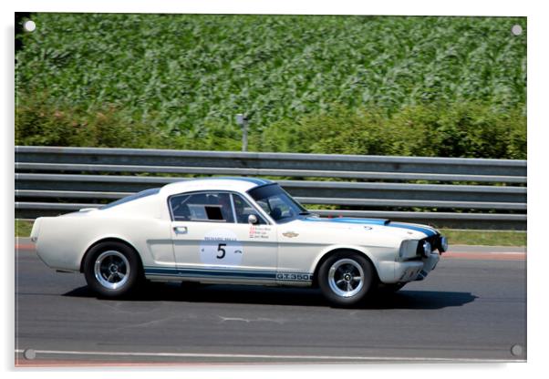 Shelby Ford Mustang 350 GT Sports Car Acrylic by Andy Evans Photos
