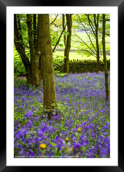 Elland Wood Bluebells Framed Mounted Print by Gary Turner