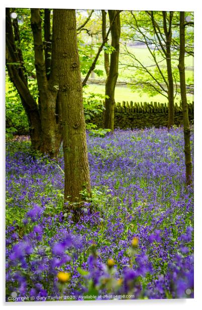 Elland Wood Bluebells Acrylic by Gary Turner