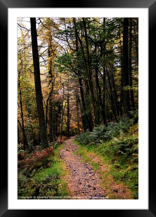 A walk in the woods Framed Mounted Print by Beverley Middleton