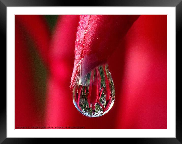 The Wonder of a Raindrop Framed Mounted Print by barbara croft