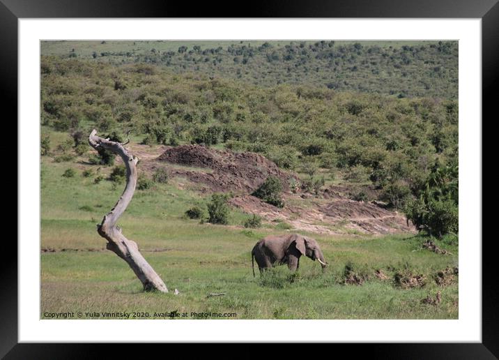 This is Africa Framed Mounted Print by Yulia Vinnitsky