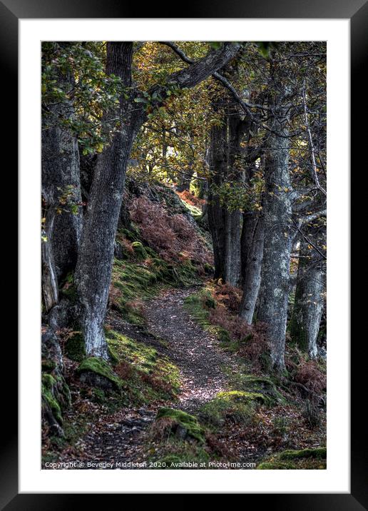 Autumn woodland path Framed Mounted Print by Beverley Middleton