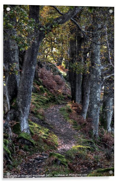 Autumn woodland path Acrylic by Beverley Middleton