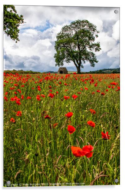 Vibrant Poppies: Derbyshire's Hidden Gem Acrylic by Holly Burgess