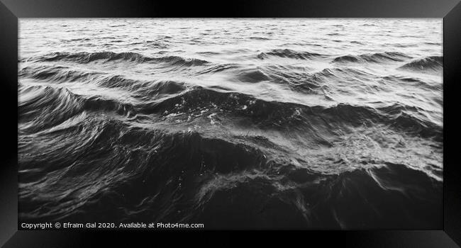 Waves on Danube /bw Framed Print by Efraim Gal
