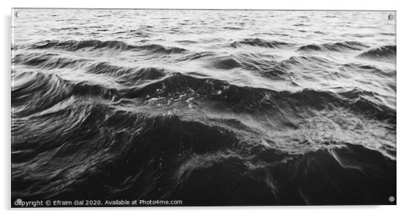 Waves on Danube /bw Acrylic by Efraim Gal