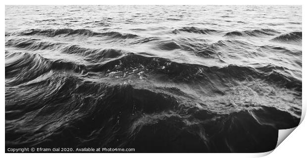Waves on Danube /bw Print by Efraim Gal