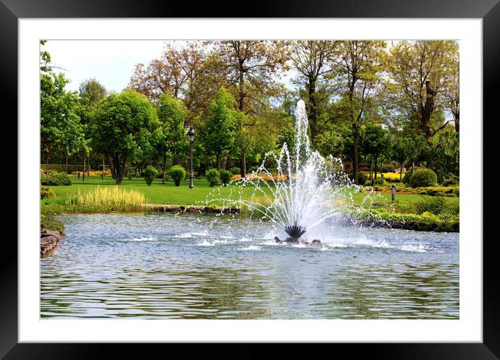 Beautiful fountain in the midst of a spring pond against the backdrop of a picturesque city park Framed Mounted Print by Sergii Petruk