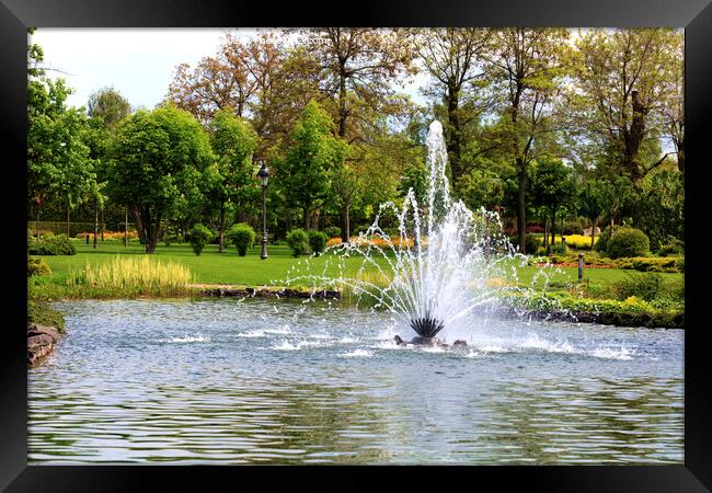 Beautiful fountain in the midst of a spring pond against the backdrop of a picturesque city park Framed Print by Sergii Petruk