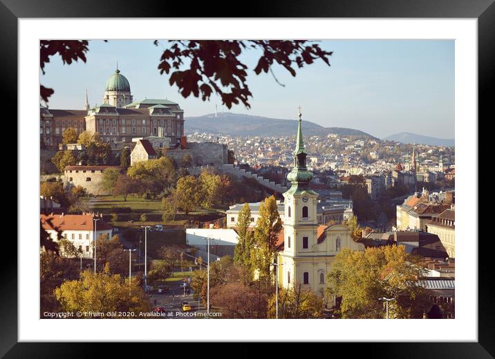Autumn in Budapest Framed Mounted Print by Efraim Gal