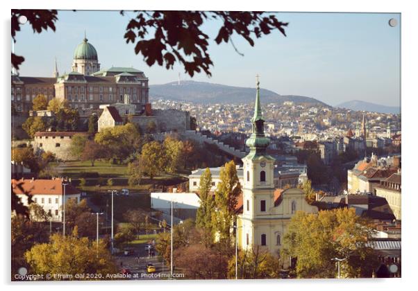 Autumn in Budapest Acrylic by Efraim Gal