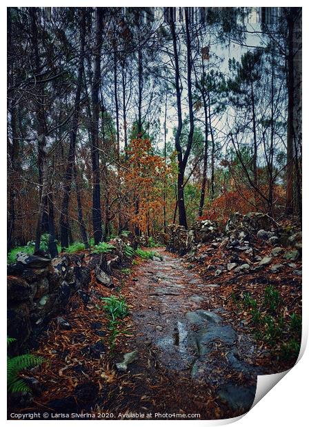 Wet forest Print by Larisa Siverina