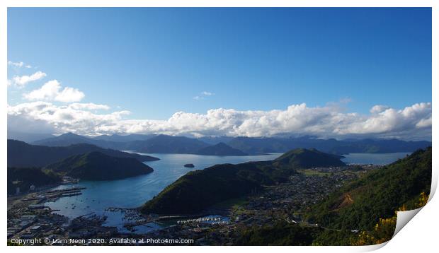 Picton from Above Print by Liam Neon