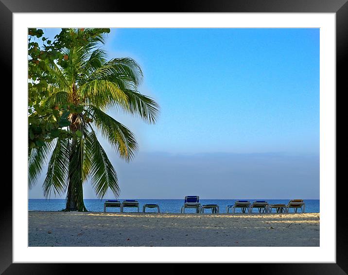 Trinidad Beach, Early Morning Framed Mounted Print by Lynn Bolt