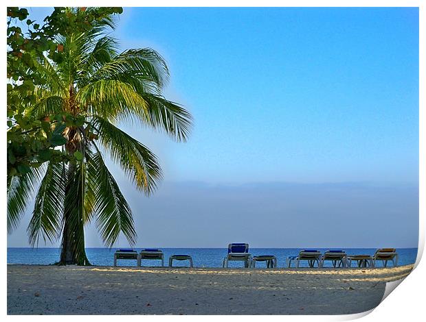 Trinidad Beach, Early Morning Print by Lynn Bolt