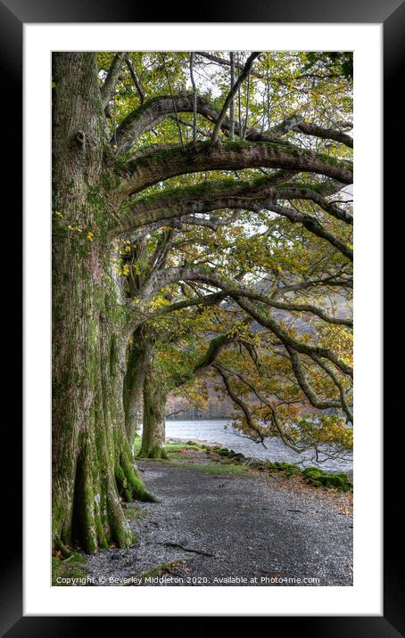 Buttermere Shore  Framed Mounted Print by Beverley Middleton