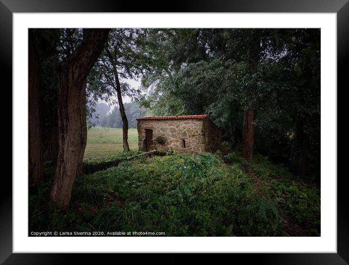 Small house Framed Mounted Print by Larisa Siverina