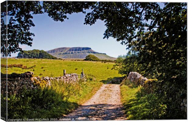 The path to Pen-y-ghent Canvas Print by David McCulloch