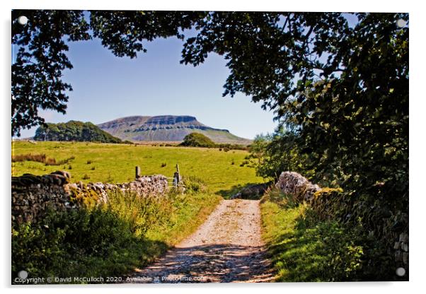 The path to Pen-y-ghent Acrylic by David McCulloch