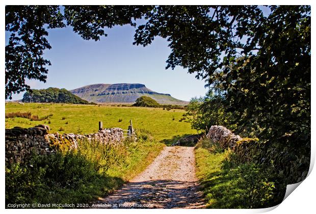 The path to Pen-y-ghent Print by David McCulloch