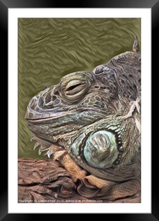 Iguana close up  Framed Mounted Print by Julia Watkins