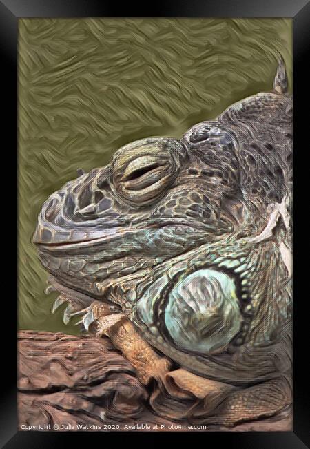 Iguana close up  Framed Print by Julia Watkins