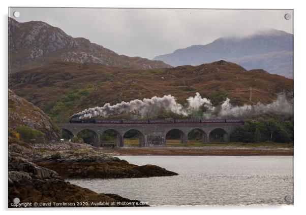 Scottish Steam  Acrylic by David Tomlinson
