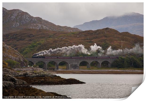 Scottish Steam  Print by David Tomlinson