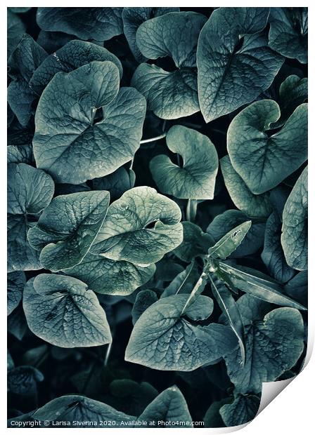 Green leaves Print by Larisa Siverina