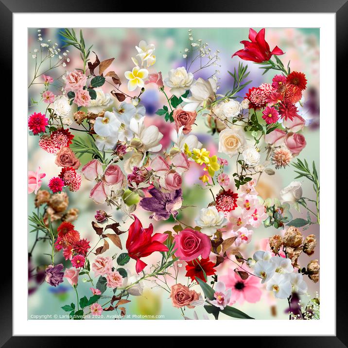 Floral collage Framed Mounted Print by Larisa Siverina