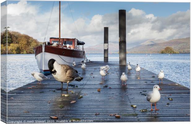 Jetty and birds on Windermere Lake Canvas Print by Heidi Stewart