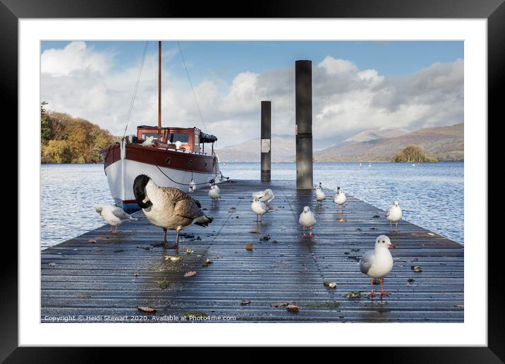 Jetty and birds on Windermere Lake Framed Mounted Print by Heidi Stewart