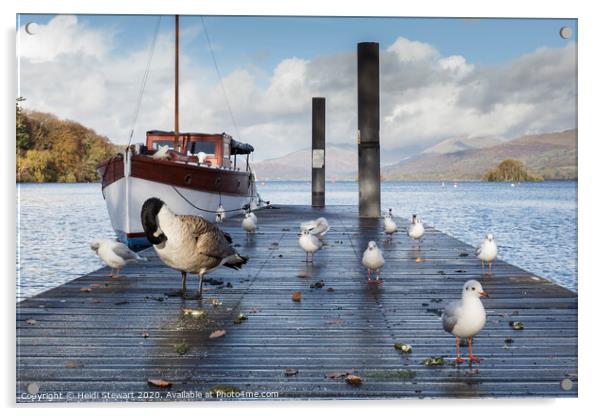 Jetty and birds on Windermere Lake Acrylic by Heidi Stewart
