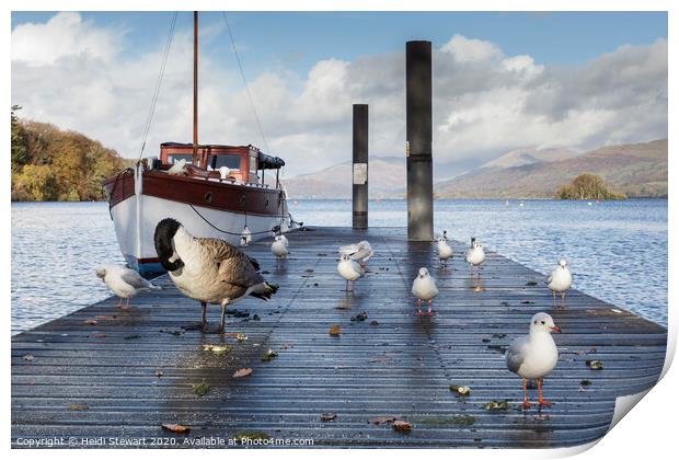 Jetty and birds on Windermere Lake Print by Heidi Stewart