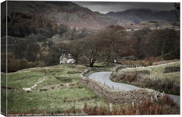 Country Lane to Torver in the Lake District Canvas Print by Heidi Stewart